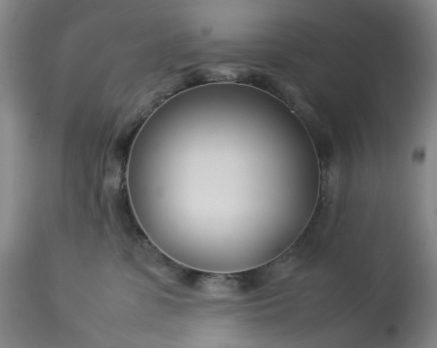 X0000113620331200910021834