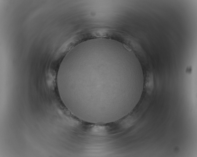 X0000113620332200910021834