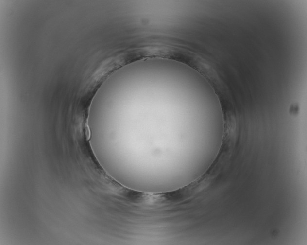 X0000113620333200910021834