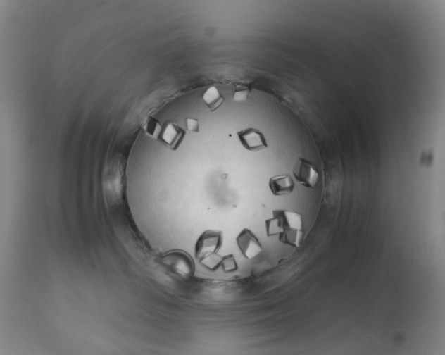 X0000113620334200910021834