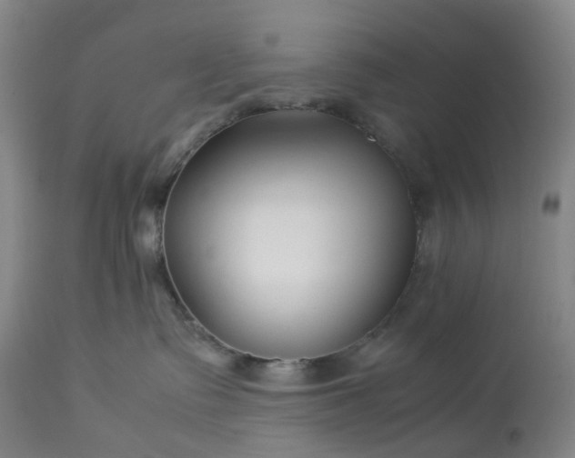 X0000113620335200910021834