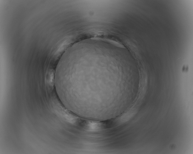 X0000113620336200910021834