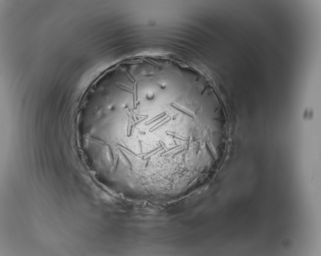 X0000113620337200910021834