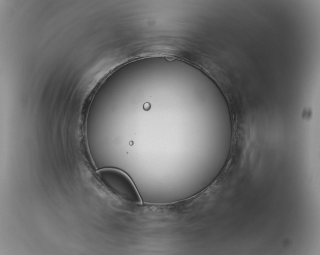 X0000113620338200910021834