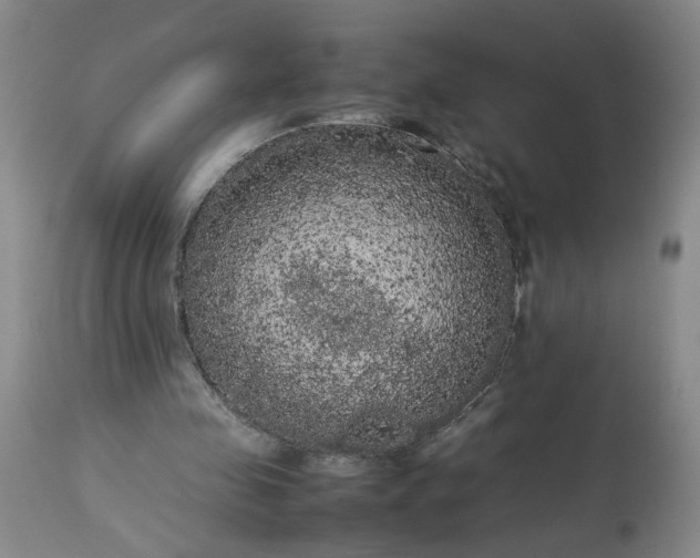 X0000113620341200910021834