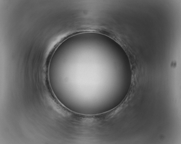 X0000113620342200910021834