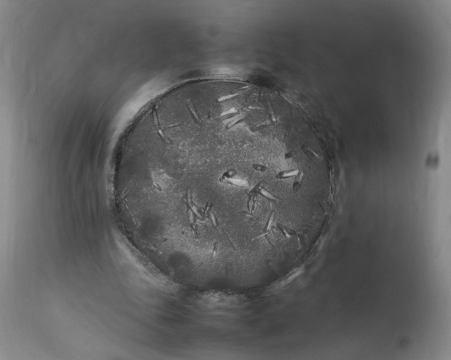 X0000113620343200910021834