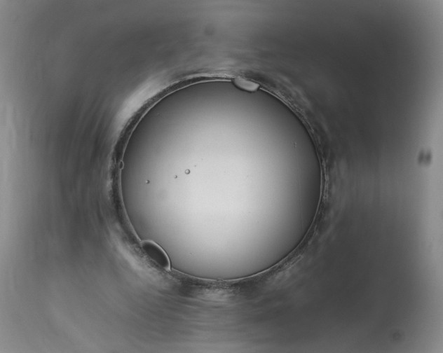 X0000113620344200910021834