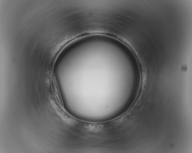 X0000113620345200910021834