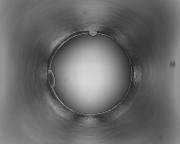 X0000113620348200910021834