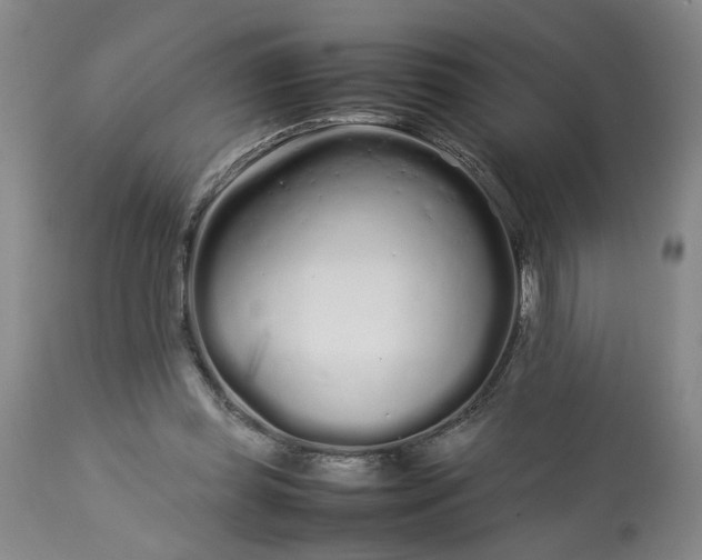 X0000113620349200910021834