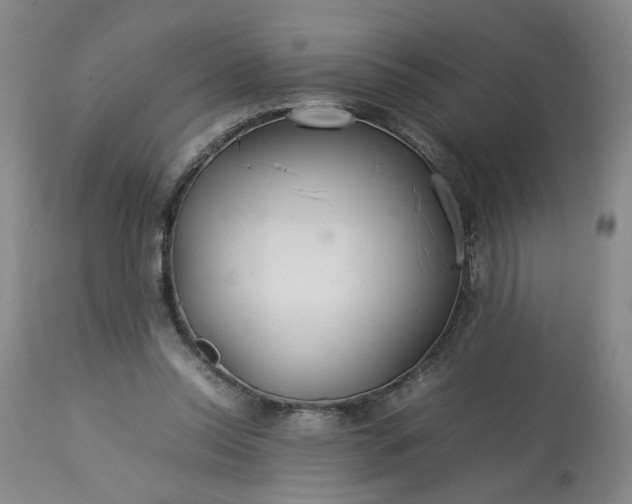 X0000113620350200910021834