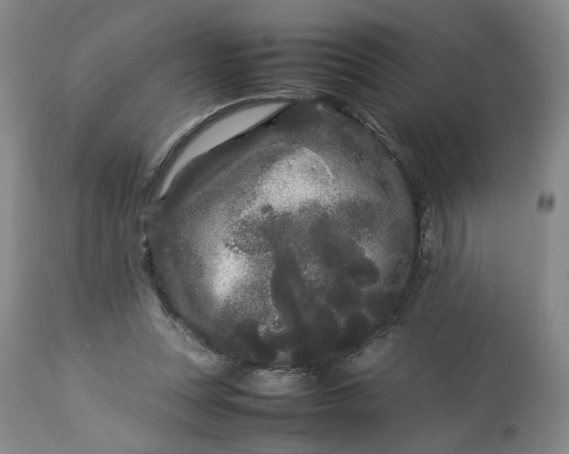 X0000113620351200910021834