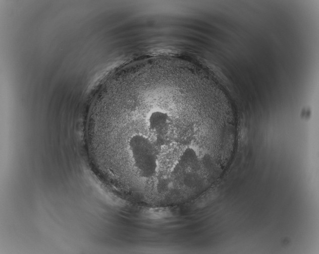 X0000113620353200910021834