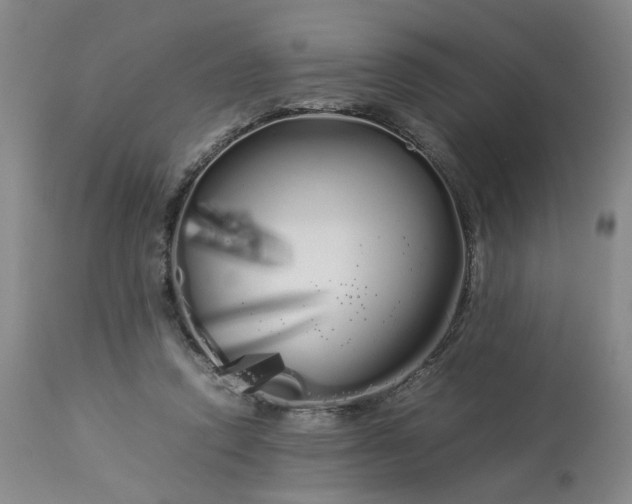 X0000113620354200910021834