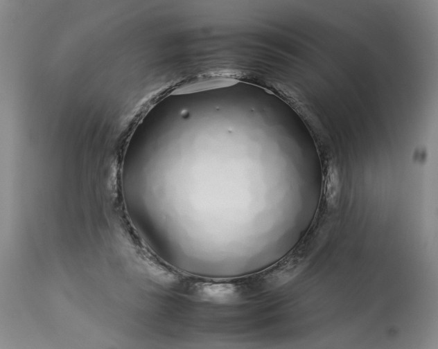 X0000113620355200910021834