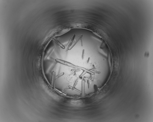 X0000113620357200910021834