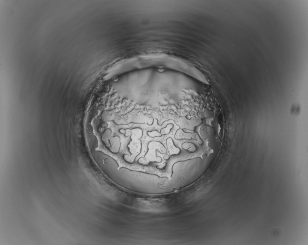 X0000113620359200910021834