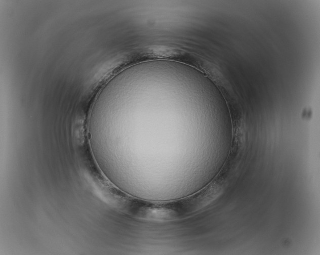 X0000113620360200910021834