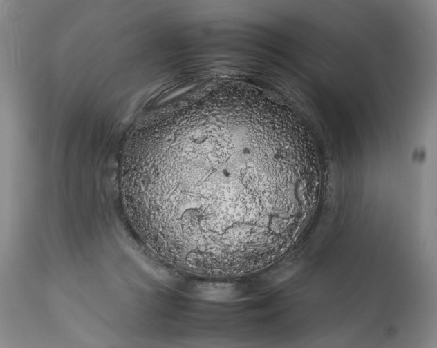 X0000113620361200910021834