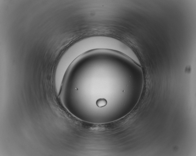 X0000113620362200910021834