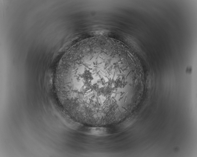 X0000113620363200910021834