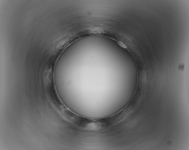 X0000113620364200910021834