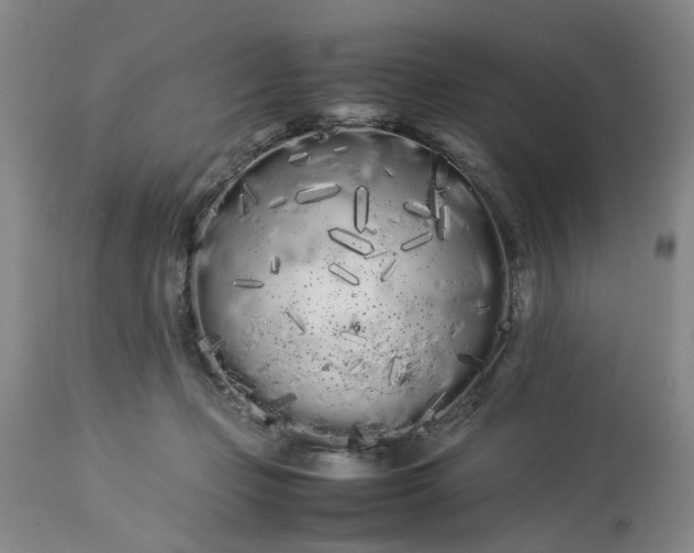 X0000113620365200910021834