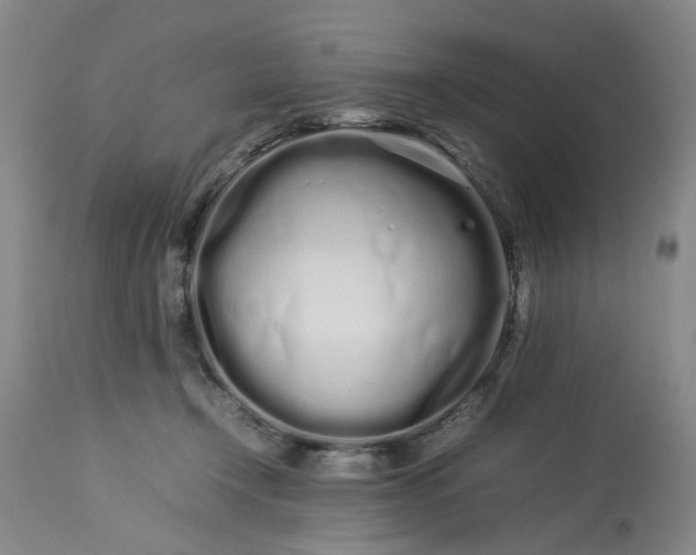 X0000113620366200910021834