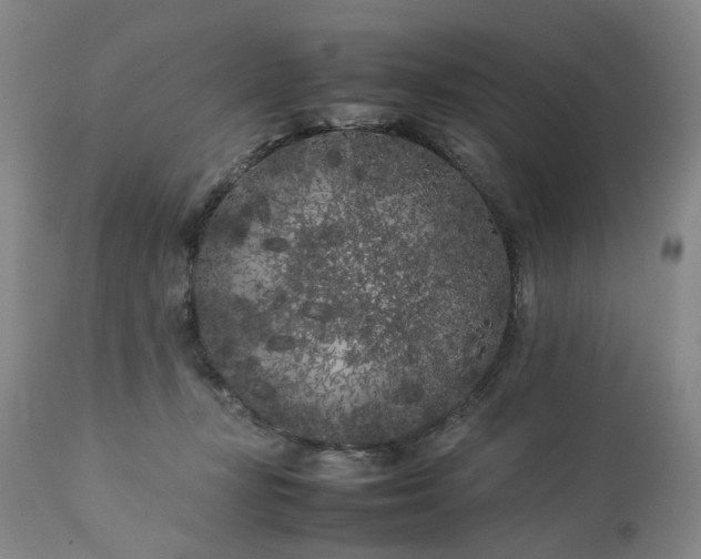 X0000113620367200910021834