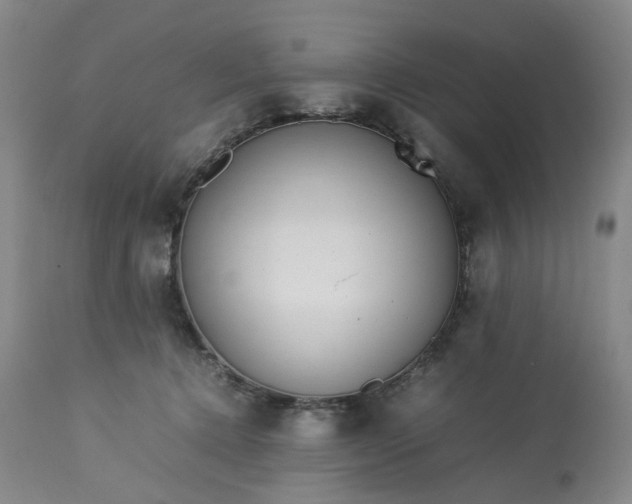 X0000113620368200910021834