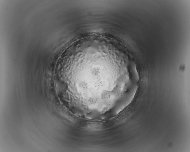 X0000113620369200910021834