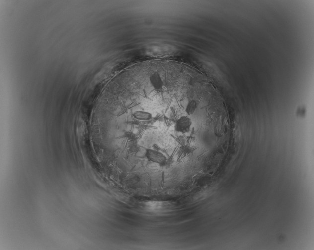 X0000113620371200910021834