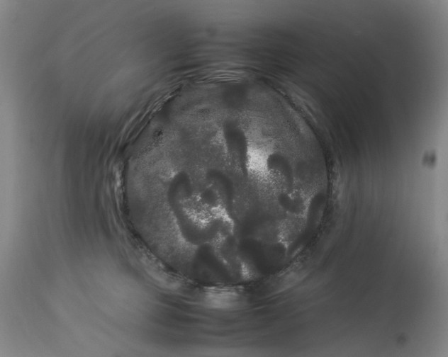 X0000113620373200910021834