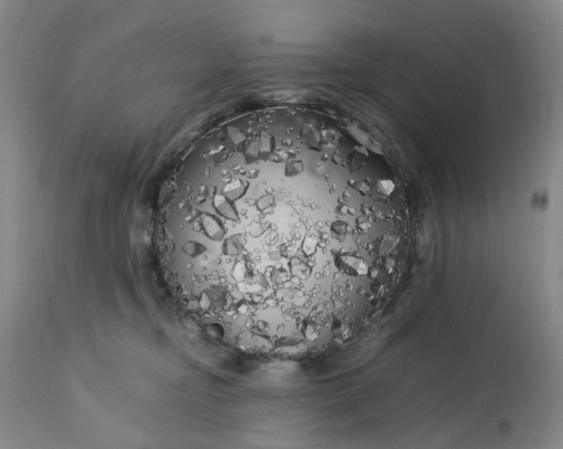 X0000113620374200910021834