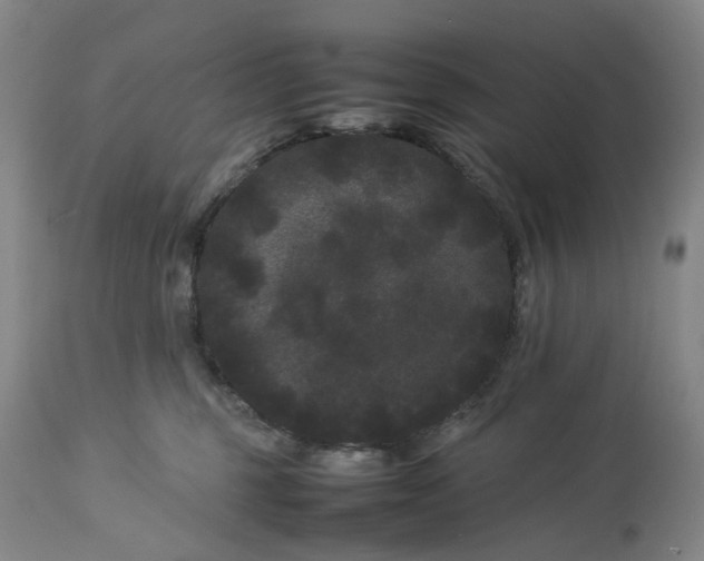 X0000113620375200910021834