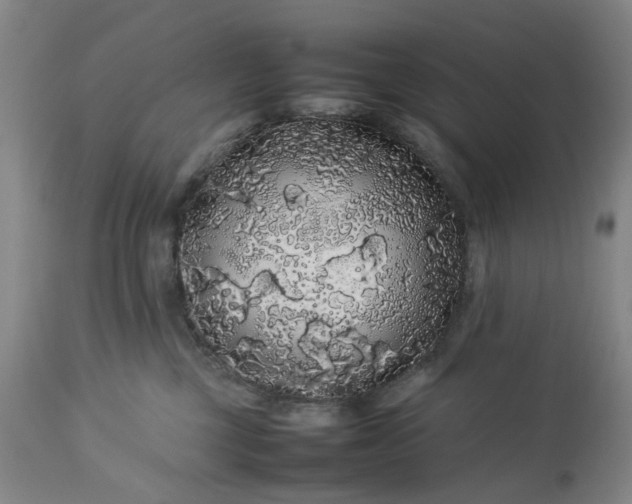 X0000113620377200910021834