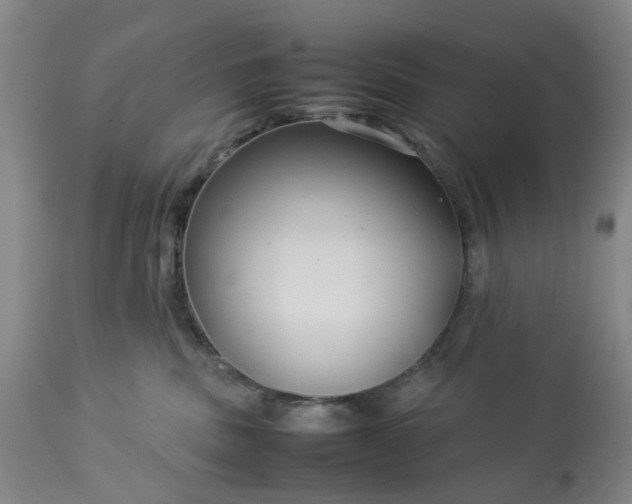 X0000113620379200910021834