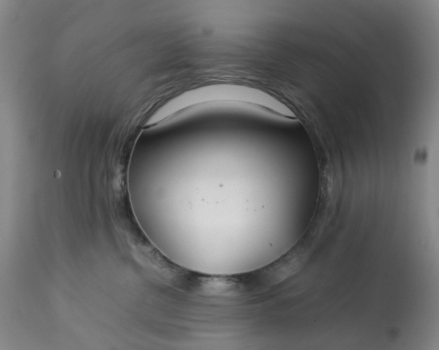 X0000113620380200910021834