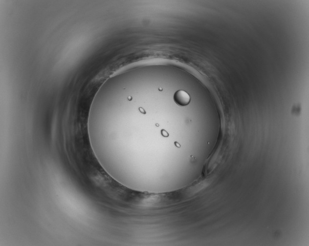 X0000113620382200910021834