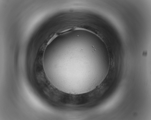 X0000113620383200910021834