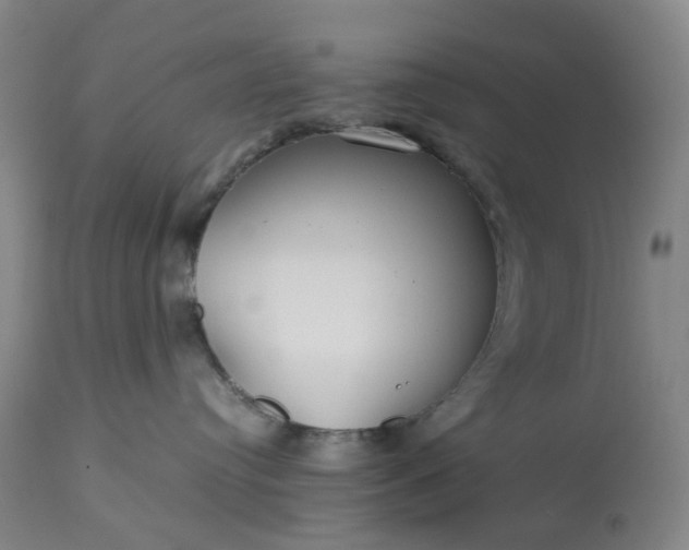 X0000113620384200910021834