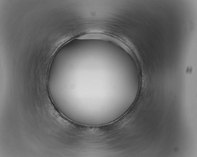 X0000113620385200910021834