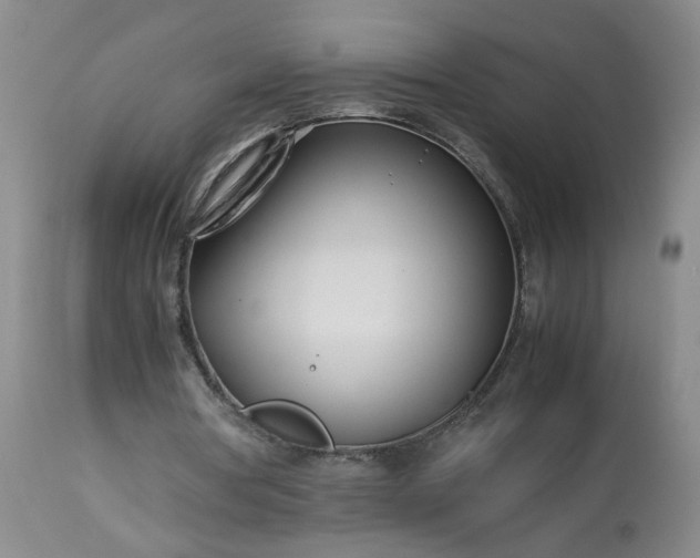 X0000113620386200910021834