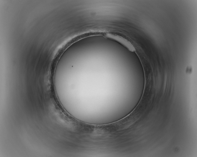 X0000113620388200910021834