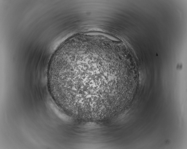 X0000113620390200910021834