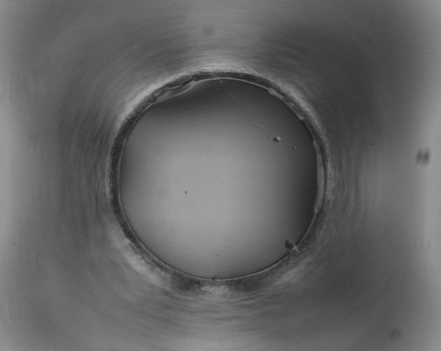 X0000113620391200910021834