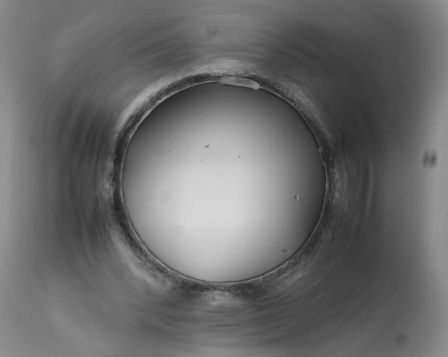 X0000113620392200910021833