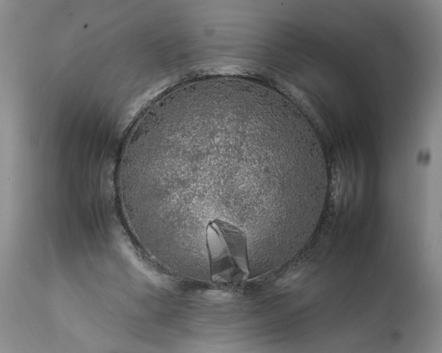 X0000113620394200910021833