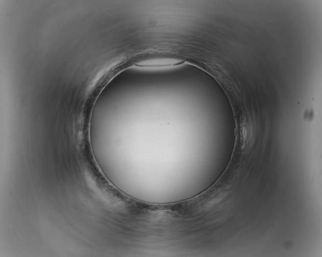 X0000113620396200910021833